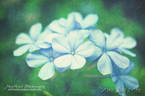 若现在就觉得失望无力,未来那么远你该怎么扛 (4)