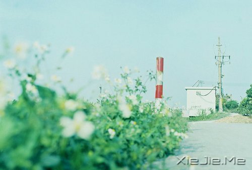 没有过不去的事情,只有过不去的心情 (8)