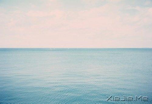 心似莲开,清风自来 (9)