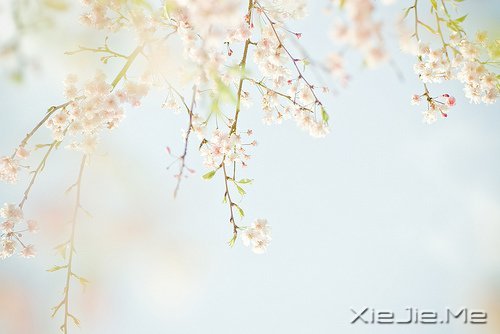 һ��һ�⣬������������������� (7)