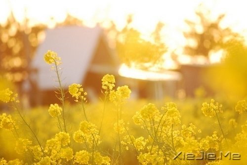 不要艳羡他人,不要输掉自己 (5)