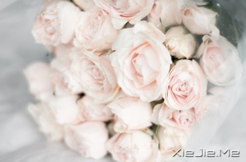 想追求什么,就去努力吧 (7)