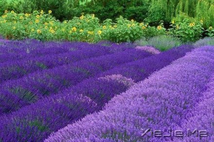 要替别人着想,但为自己而活 (6)