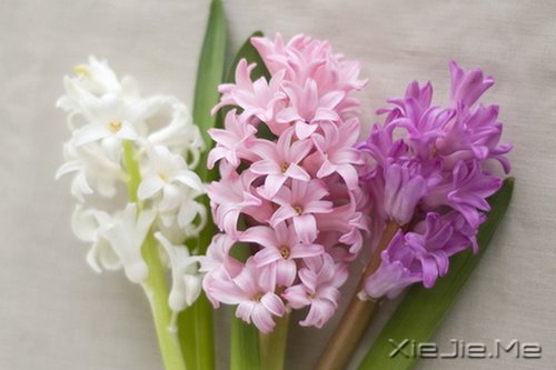 风雨人生,给自己一个微笑 (4)