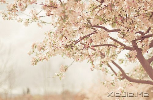 活得平和,才能在心里装下满满的幸福 (8)