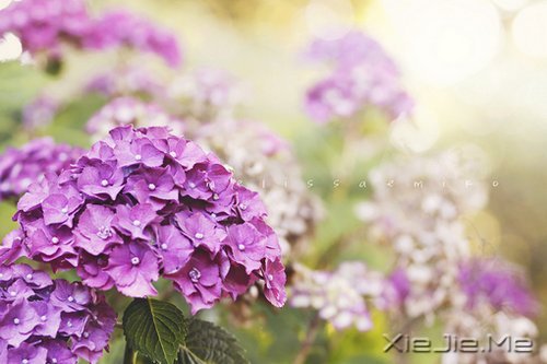 �Ҳ��������������������Լ� (8)