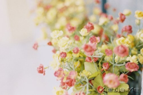 早安心语:浅浅遇,淡淡忘 (7)