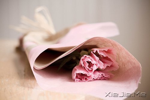 ����˥�ϵĲ������գ����ǲ��ҽ�ȡ���� (4)