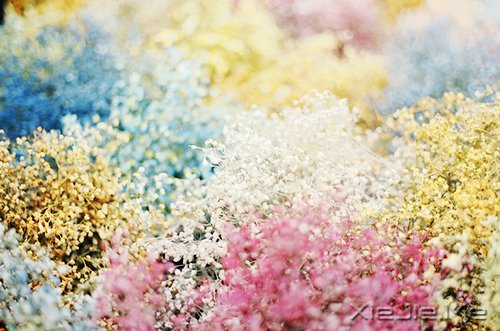 ����������ʹ�࣬˵��������л����� (5)