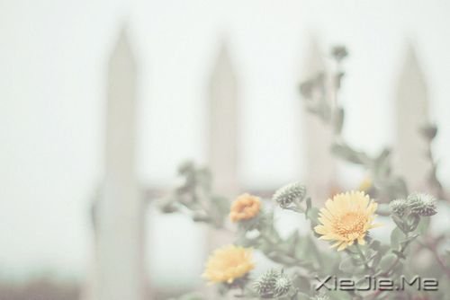 ��ֻ�ж���������֮�أ����ܿ���ʱ��֮�� (6)