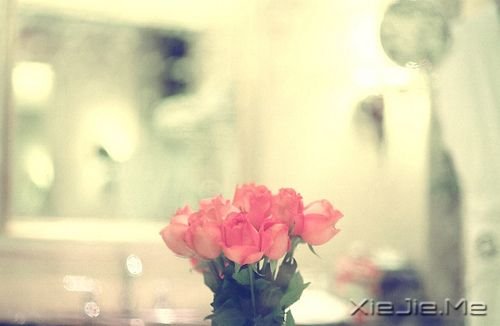 千万不要因为走的太久,而忘记了我们为什么出发 (9)