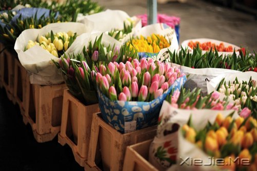 �簲������ʱ����Ե��ˣ�һ��Ҳ�Ͳ������ (7)