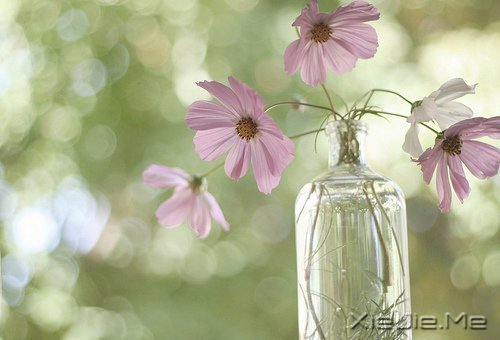 晚安心语:找到完美的路 (6)