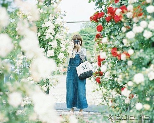 晚安心语:选择最淡的心事,诠释坎坷的人生 (9)