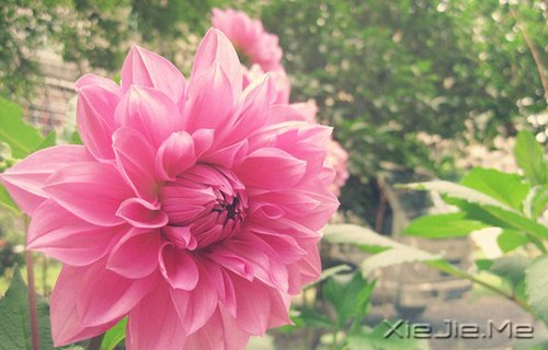 ������ᣬȴ���ӵ�з������������ (6)