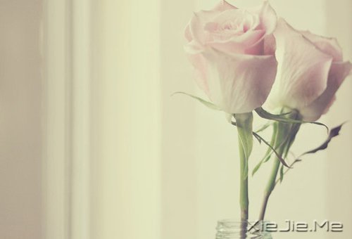 晚安心语:人生最美还是淡然 (9)