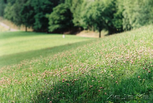 �簲������֣�����ʱ���������ʱ���� (3)