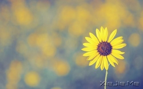 �������΢Ц��ȥ�ȴ�������õ��Լ� (4)