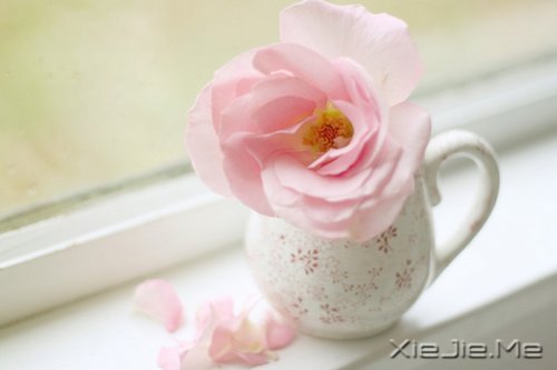 ����������������䣬�˲������� (4)