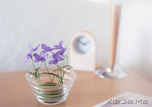 早安心语:人生是一场错过,愿你别蹉跎 (4)