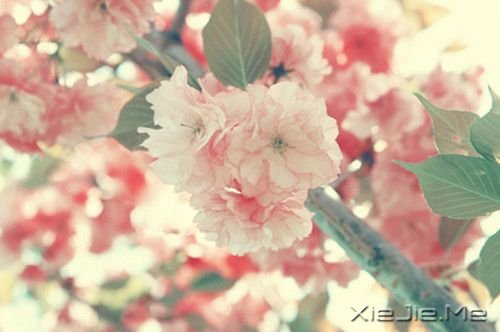 晚安心语:只要心跳还在,演出就没有落幕 (6)