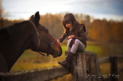 �簲�������Ҳ���ô�ں��������򵥵ö� (5)