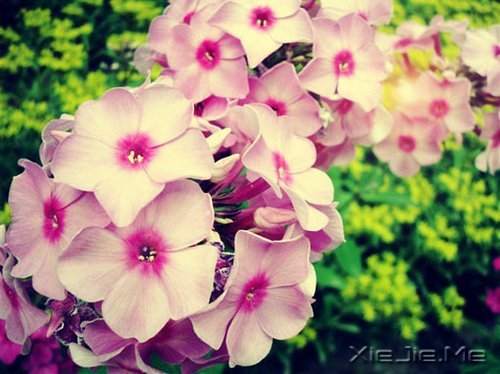 �簲�������������ߣ�Ҳ����һ�����������ͽ (2)