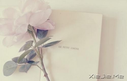 �簲����Ҹ���һ���ọ́�������һ���յ� (5)