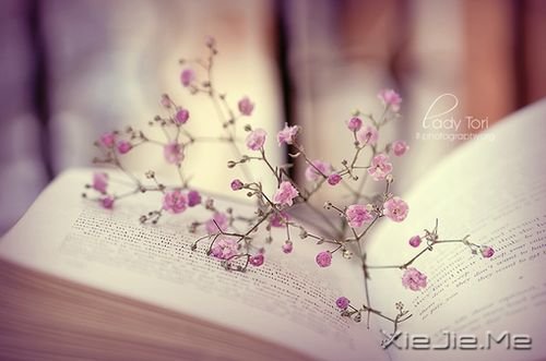 晚安心语:你可以说服所有人,却说服不了自己的心 (6)