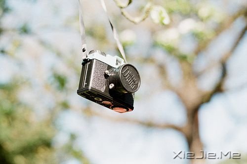 晚安心语:生活或许总有遗憾,但未来依旧美好 (8)