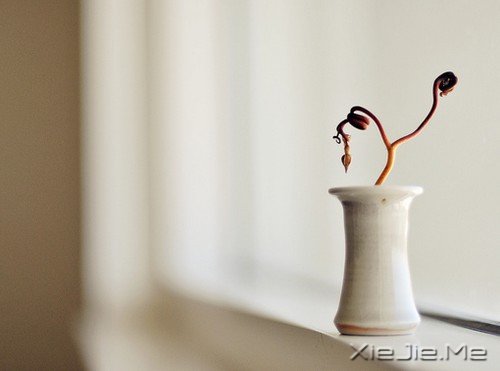 �簲�����Щ��������Ϊ����ȥ�Ĺ�ȥ�������ȥ (7)