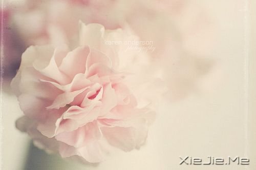 晚安心语:别忘了最初的自己 (7)