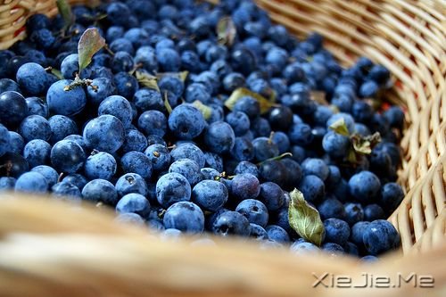 晚安心语:你不懂我的沉默,又怎么会懂我的难过 (2)