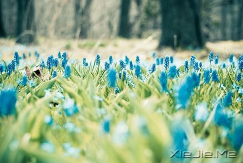 早安心语:童心未泯,是一件值得骄傲的事情 (9)