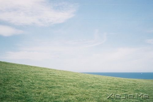 晚安心语:把手放开,你得到的是一切 (8)