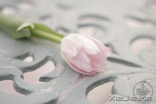 �簲����ɹ����ٶ�һ��Ҫ������ĸ��ȥ���ٶ� (2)