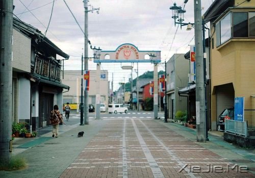 �簲��������̫����ɹ���ɽ�������� (7)