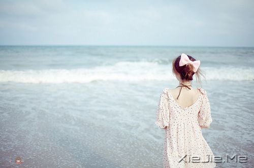 �����������̫͸����ͻ�������Ĺ¶� (7)