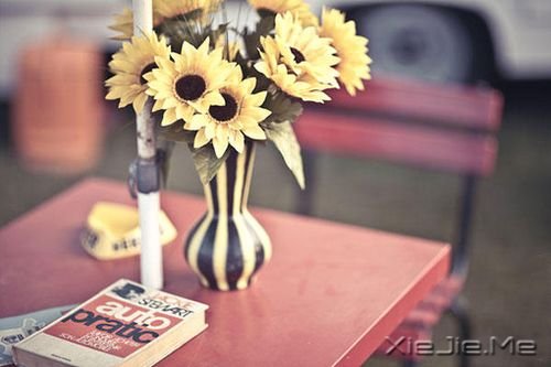 �簲��������Ҫ��������������������� (3)