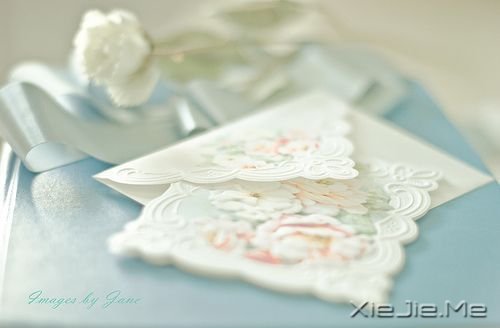 早安心语:生活,就该有些阳光 (8)