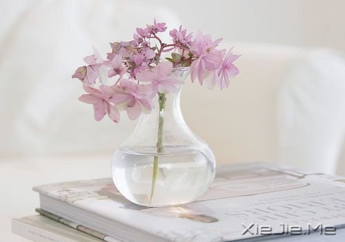 晚安心语:总有一扇门为梦想打开 (7)