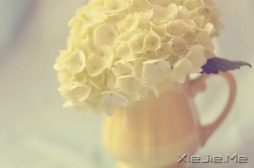 早安心语:当我对你越来越礼貌时,我们或许就越来越陌生了 (3)