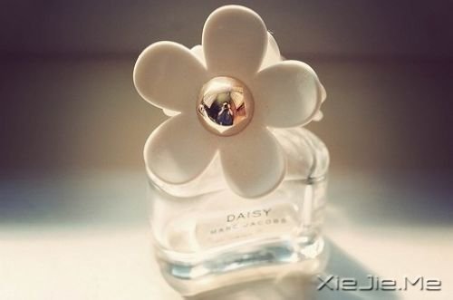 早安心语:有些痛苦,适合无声无息的忘记 (5)