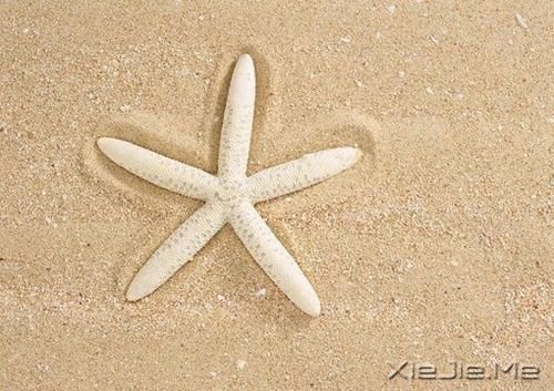 爱情心语:最美好的承诺,不是我爱你,而是我会一直爱着你 (1)