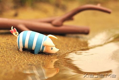 一时的成败得失对于一生来说,不过是来了一场小感冒 (4) 小清新图片 (4)