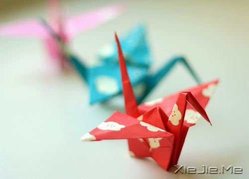 心存感激地生活吧 (2) 小清新图片 (2)