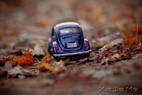 无论发生什么,先善待自己 (10) 小清新图片 (10)