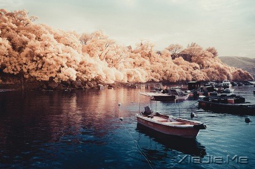 如梦如幻的香港 如梦如幻的香港