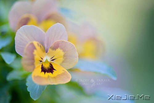 永远有人在年轻,永远有人在老去