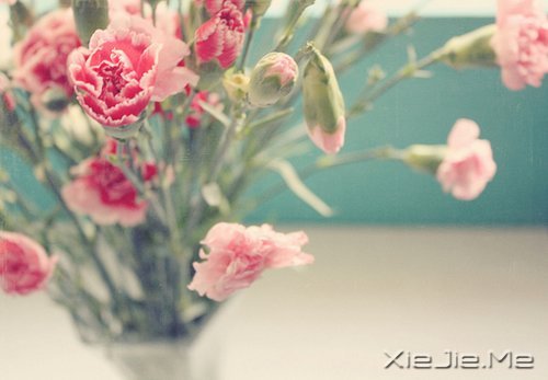 千万不要这样逗孩子